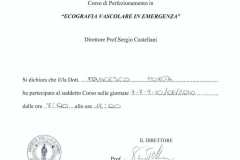 10.06.07-firenze-corso-di-perfezionamento-in-ecografia-vascolare-in-emergenza