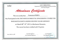 12.03.08-bucarest-2°-EULAR-MSUS-Course-for-rheumatologysts-under-relatore