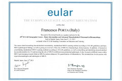 13.06.09-madrid-20°-EULAR-Sonography-Course-Basic-Intermediate-and-Advanced-MSUS-in-Reumatology-speaker-and-tutor