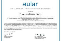 13.06.12-madrid-20°-EULAR-MSUS-in-Reumatology-speaker-and-tutor