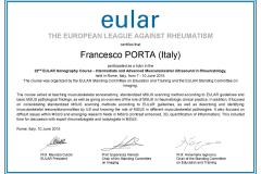 15.06.07-roma-22°-EULAR-MSUS-Courses-tutor