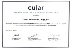 15.06.10-roma-level-2-of-eular-competency-assessment-in-MSUS