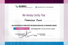 17.01.13-sofia-MSUS-course-intermediate-level