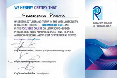 18.03.29-plovdiv-MSUS-course-intermediate-level-and-focussed-course-on-ultrasound-guided-procedures-lecturer-and-tutor