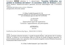20.11.21-fad-tecniche-infiltrative-ecoguidate-in-medicina-del-dolore-docente