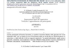 21.09.15-Rimini-Tecniche-infilitrative-ecoguidate-in-medicina-del-dolore-docente