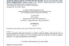 21.11.12-Rimini-gestione-tecniche-ambulatoriali-in-medicina-del-dolore-docente