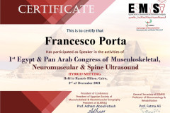21.12.02-cairo-congress-of-musculoskeletal-neuromuscular-e-spine-ultrasound-speaker